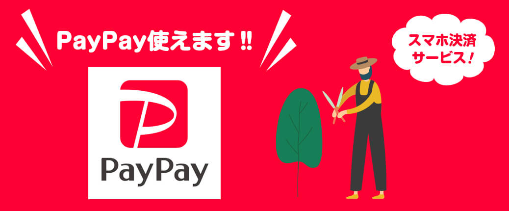 paypay使えます！