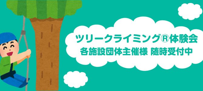 楽しく木登りしませんか? 楽しく木登りしませんか?