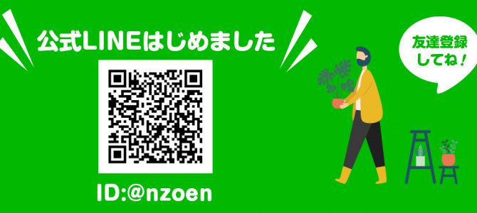 公式LINEはじめました